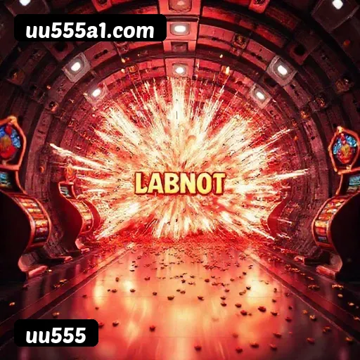 Termos e Condições Transparentes uu555